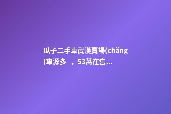 瓜子二手車武漢賣場(chǎng)車源多，5.3萬在售，僅奧迪品牌就有3000多輛